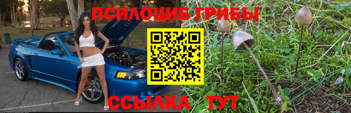 Галлюциногенные грибы мицелий Рославль